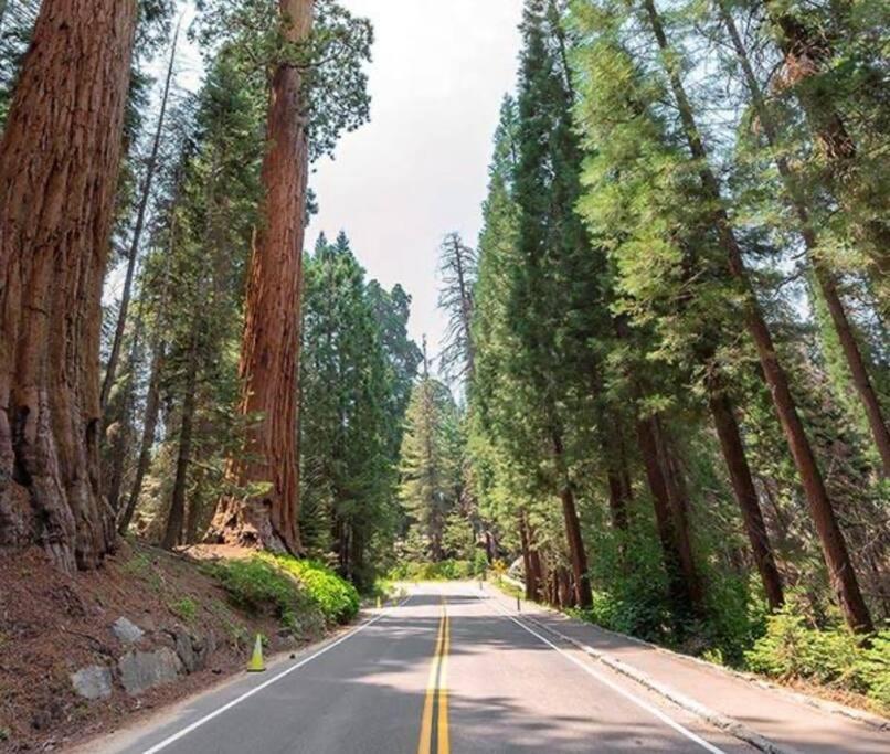 Sequoia Villa Visalia Εξωτερικό φωτογραφία